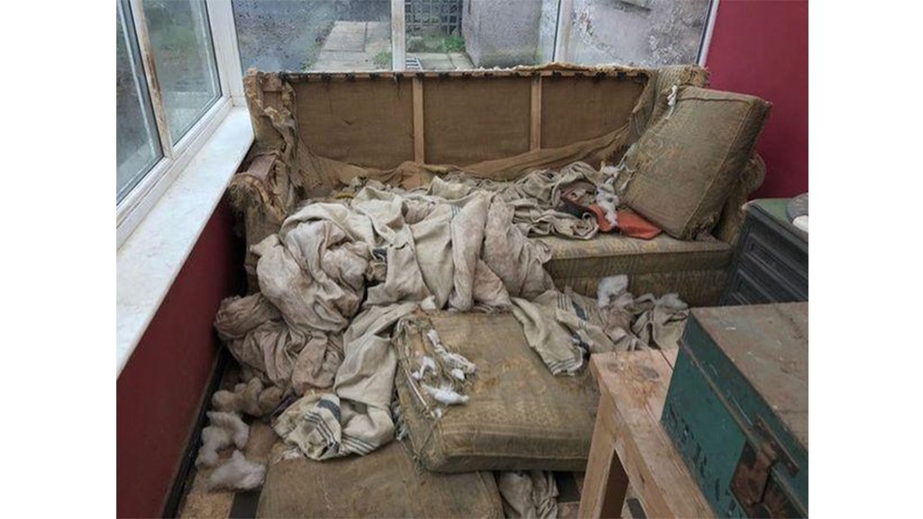 Щенок