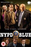 Постер Полиция Нью-Йорка: 12 сезон
