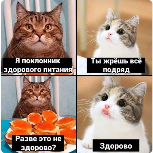 Правильное питание — это здорово Правильное питание — это здорово