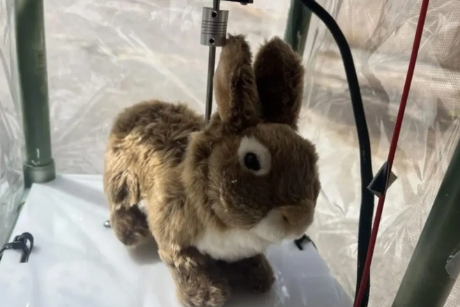 Робокролик Робокролик