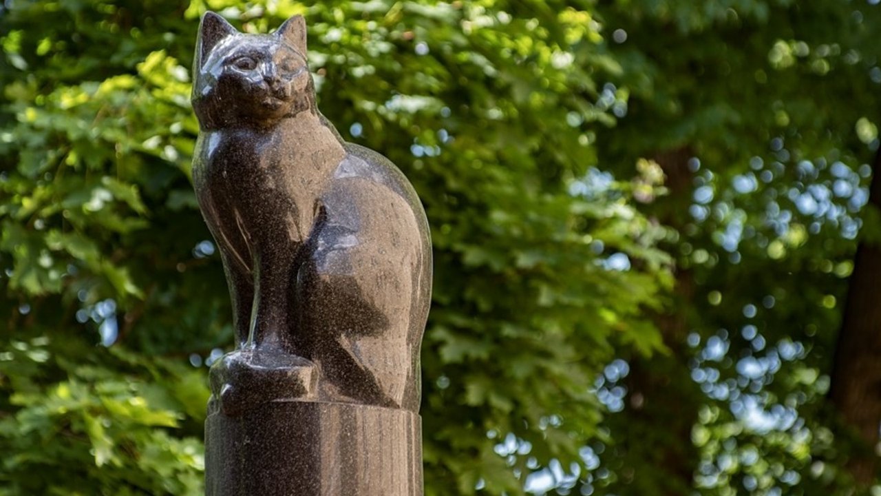 «Памятник кошкам» в Петербурге в Петербургском государственном университете