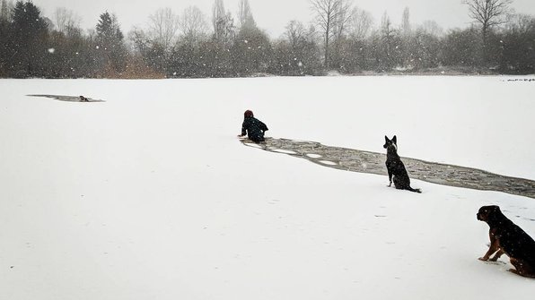 Жительница Канады спасла из ледяной воды чужого пса