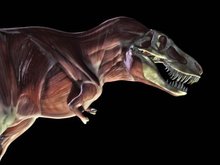 Кадр из Discovery: Сражения динозавров