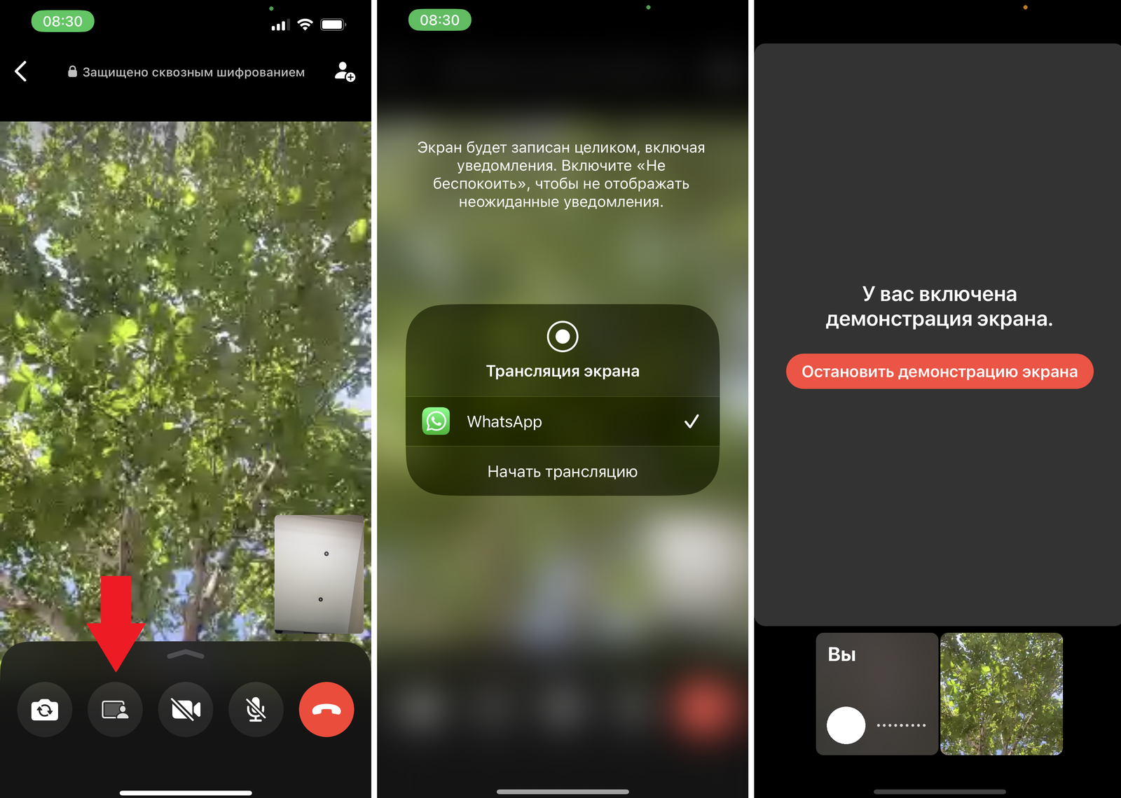 WhatsApp запустил трансляцию экрана во время звонков: как включить -  Hi-Tech Mail.ru