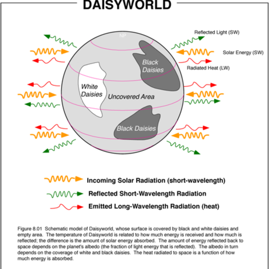Модель Daisyworld Модель Daisyworld