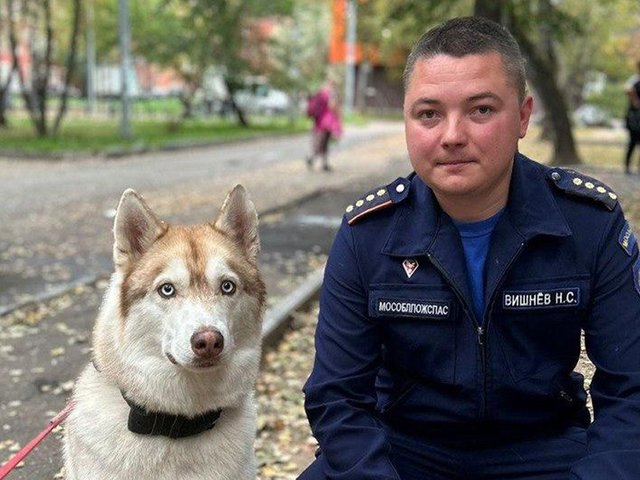 В Дедовске на пожаре спасены люди, две кошки, собака и попугай