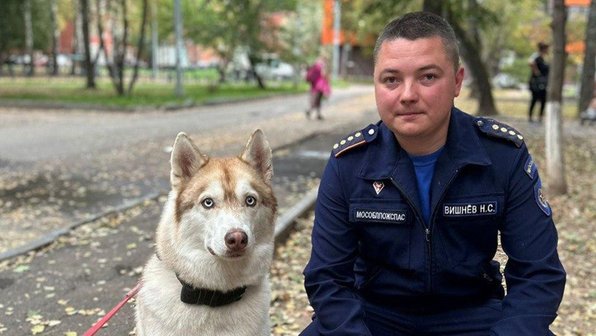 В Дедовске на пожаре спасены люди, две кошки, собака и попугай
