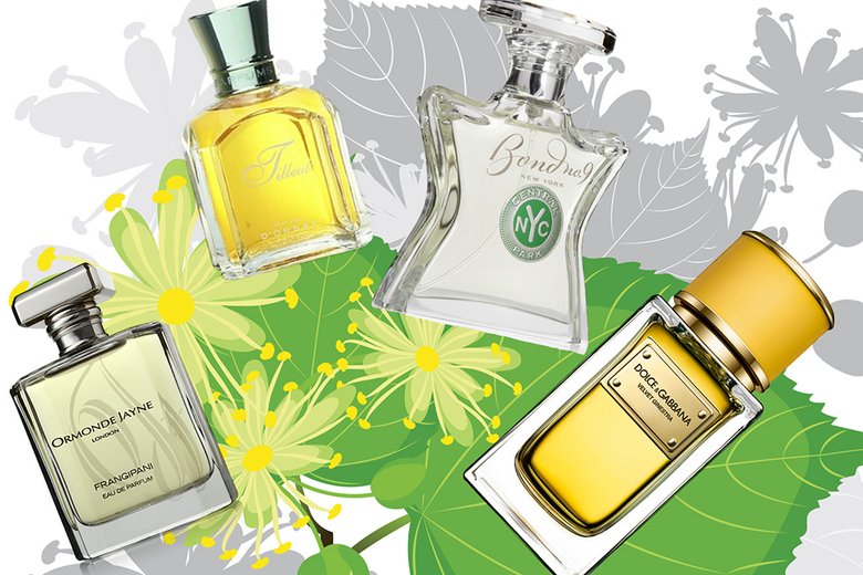 Ароматы с нотой липового цвета, слева направо: Frangipani, Ormonde Jayne; Tilleul, Parfums d’Orsay; Central Park, Bond No.9; Velvet Ginestra, Dolce & Gabbana. Ароматы с нотой липового цвета, слева направо: Frangipani, Ormonde Jayne; Tilleul, Parfums d’Orsay; Central Park, Bond No.9; Velvet Ginestra, Dolce & Gabbana.