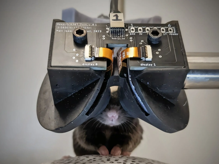 мышь с MouseGoogle