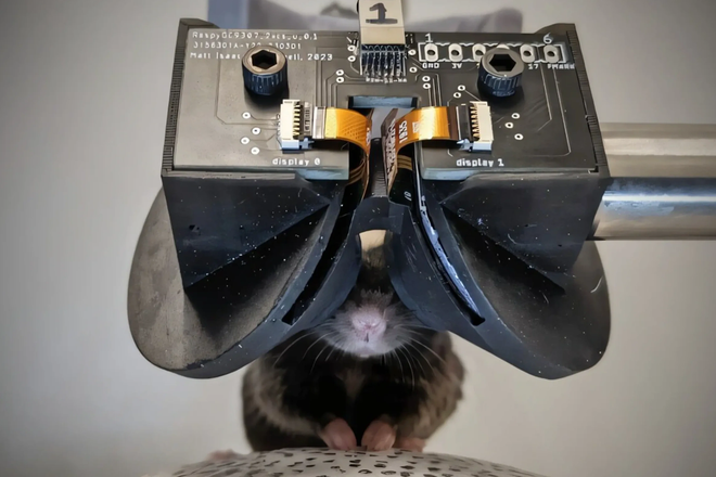 Виртуальные очки для мышей MouseGoggles.