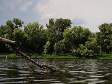 slide image for gallery: 27654 | Жигулевский заповедник