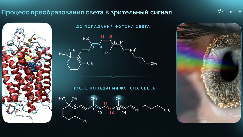 Процесс преобразования света в электрический сигнал Процесс преобразования света в электрический сигнал