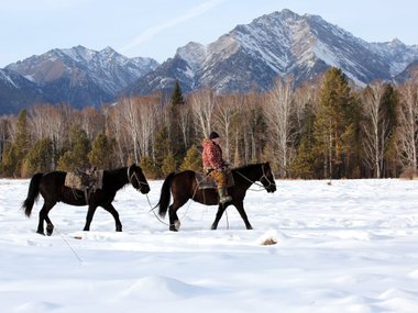 Лапландский заповедник