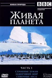 BBC: Живая планета: постер