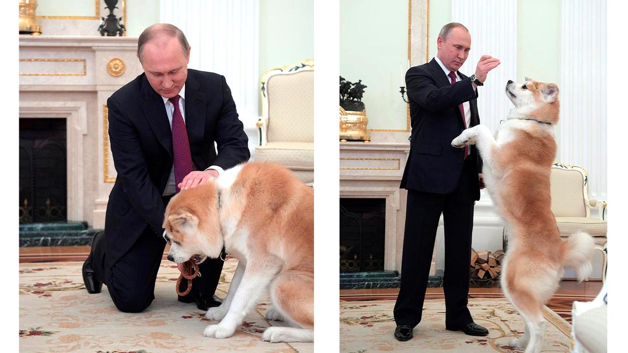 Президент говорил, что Юмэ — строгая собака и всегда защищает его