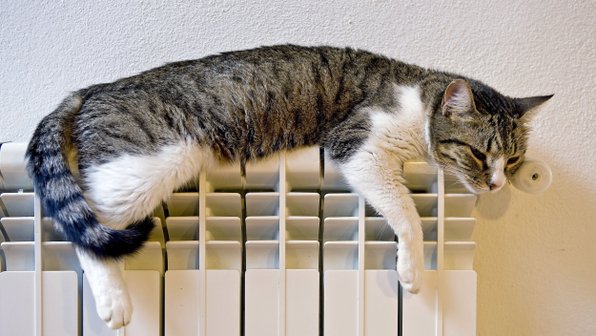Осторожно, тепло: чем опасны для кошек батареи отопления