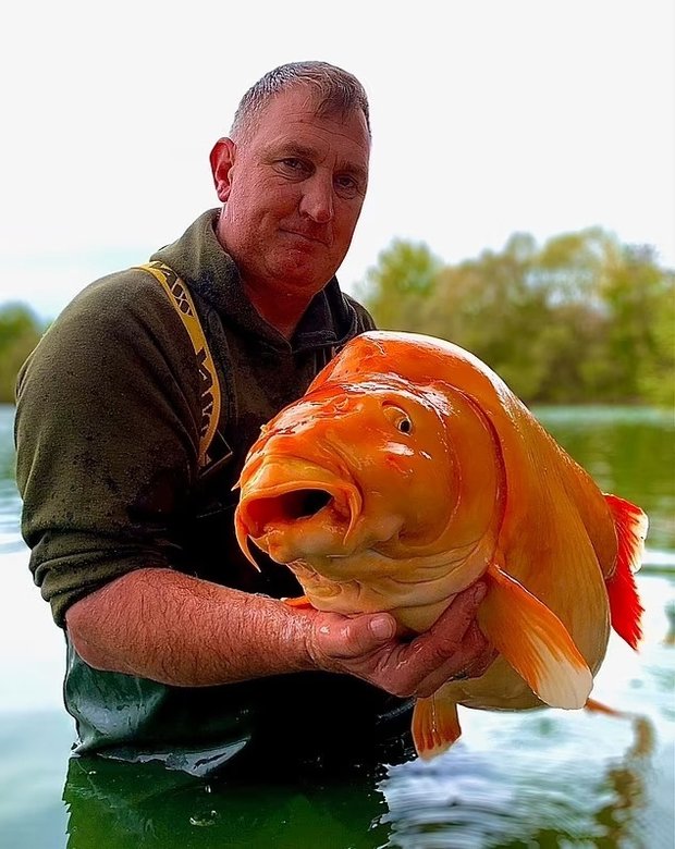 Еще одно фото рыбака и его гигантского улова. Источник: JasonCowler/BNPS