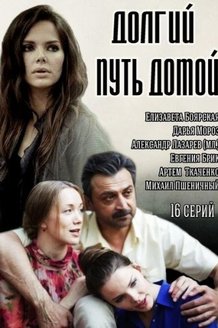 Долгий путь домой: постер