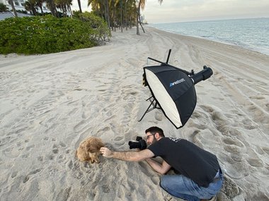 Pets.mail.ru Pets.mail.ru