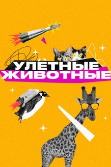 Улетные животные: постер