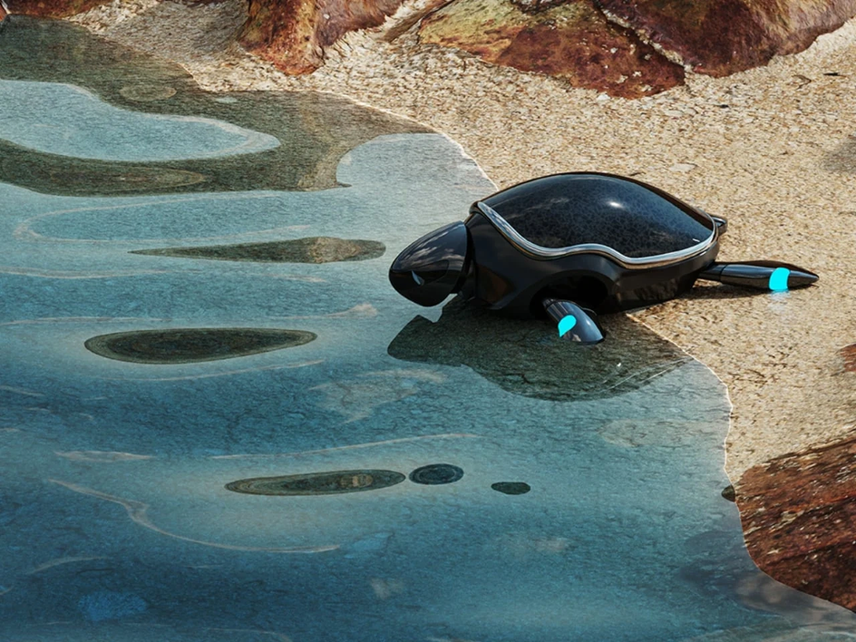 RoboTurtle в воде