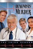 Постер Диагноз: Убийство: 3 сезон