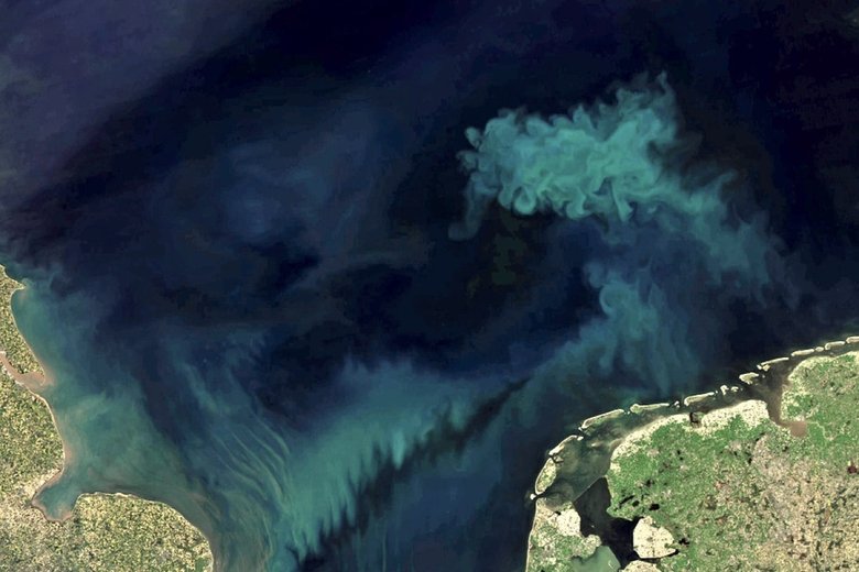 Снимок спутника Aqua, который ведет мониторинг океанов более 20 лет. Фото: NASA