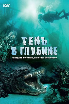 Тень в глубине: постер