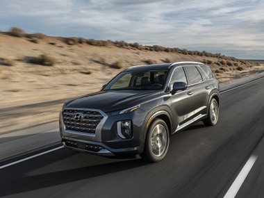 slide image for gallery: 25305 | Hyundai Palisade