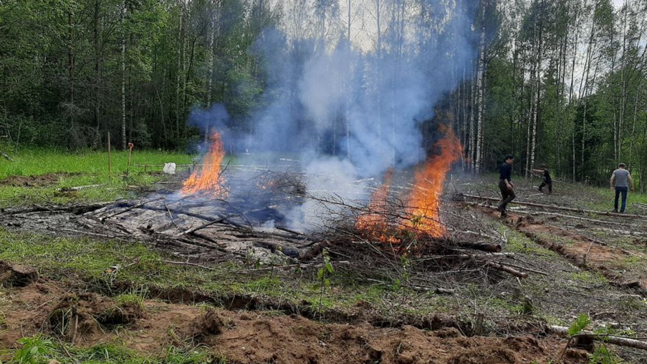 Горят ветки на земле в ходе подсечно-огневого земледелия Горят ветки на земле в ходе подсечно-огневого земледелия