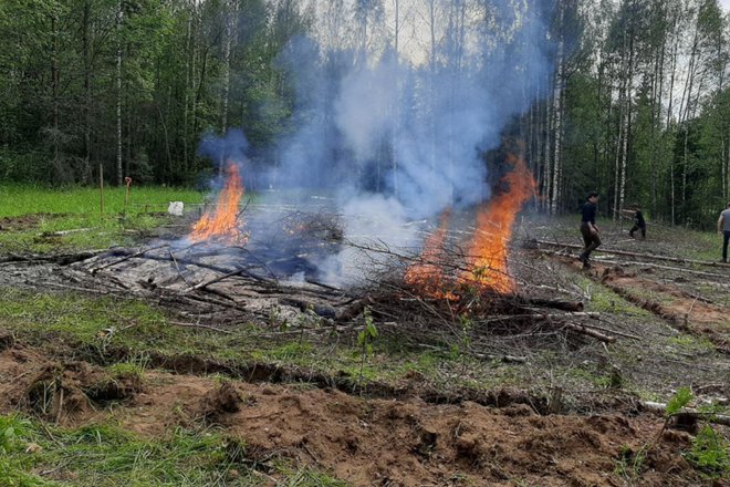 Горение стволов и веток на полигоне Горение стволов и веток на полигоне