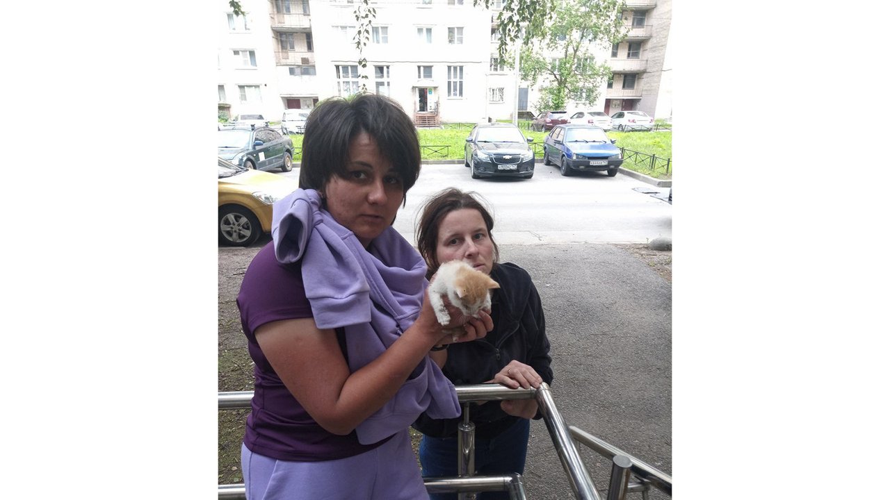 Волонтеры КОШКИСПАС и спасенный ими котенок Волонтеры КОШКИСПАС и спасенный ими котенок