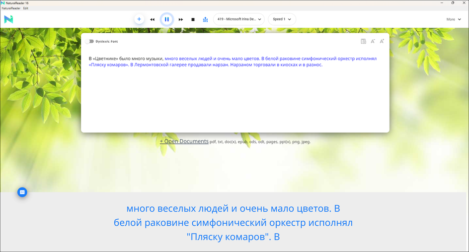 Интерфейс NaturalReader