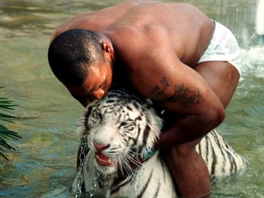 Slide image for gallery: 11951 | Майк Тайсон со своим тигром