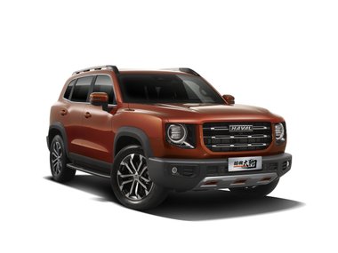 slide image for gallery: 28422 | Haval Big Dog