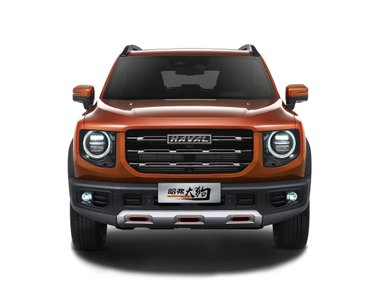 slide image for gallery: 28422 | Haval Big Dog