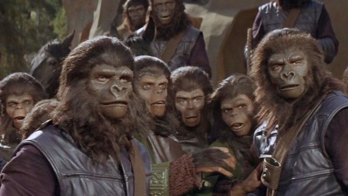 Станут ли обезьяны наследниками человеческой цивилизации? Кадр из фильма «Планета обезьян». Фото: Film Threat