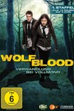 Постер Волчья кровь: 1 сезон