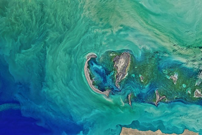 Каспийское море (вид из космоса) Каспийское море (вид из космоса)