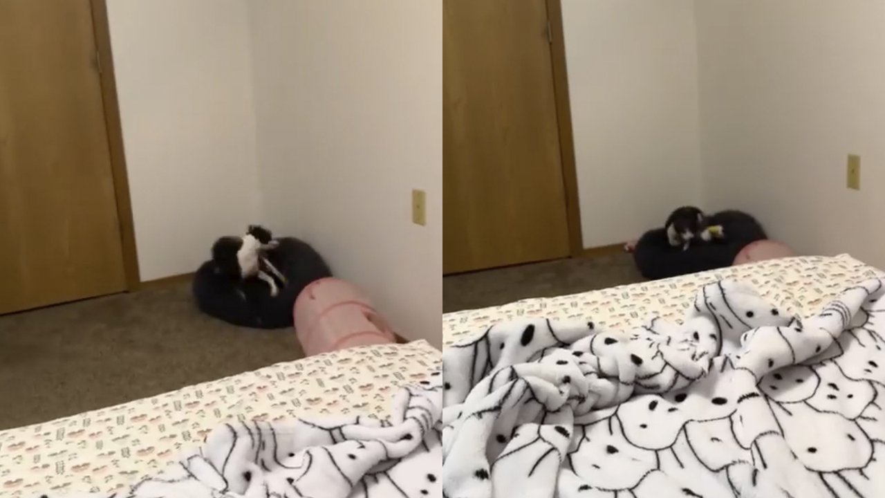 Ночной забег Ночной забег
