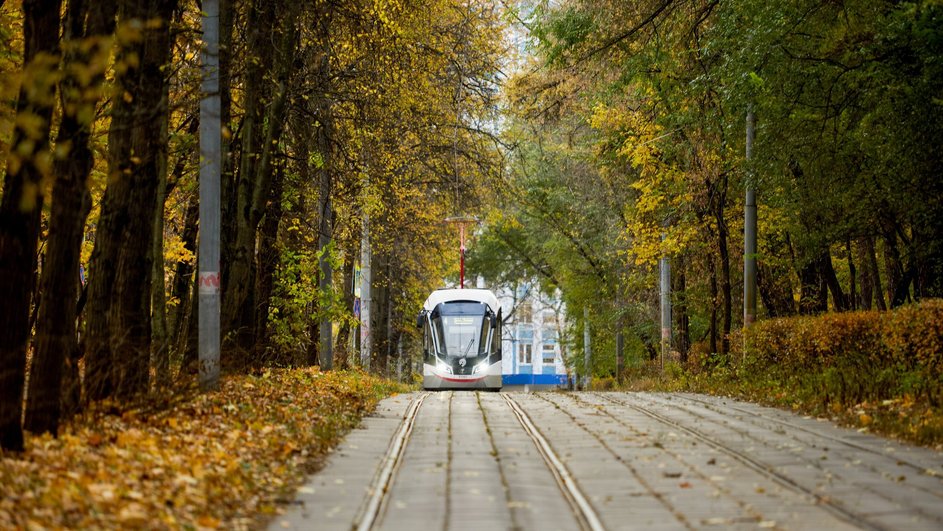 Осень в Москве: Октябрь 2024 года