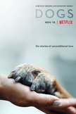 Постер Собаки: 1 сезон