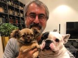Александр Толмацкий Александр Толмацкий