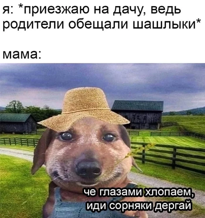 Может быть, поедем отдыхать? Или не отдыхать… Может быть, поедем отдыхать? Или не отдыхать…