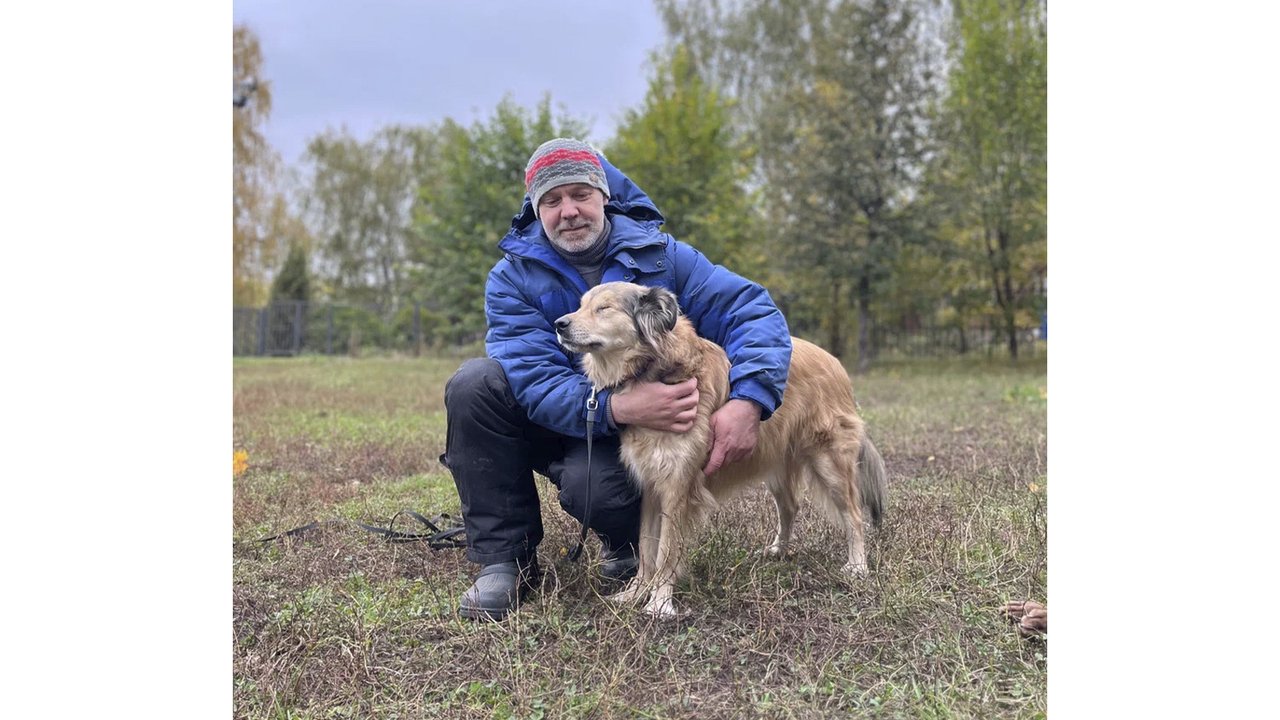 Окно в другой мир. Как взять в семью слепую собаку?