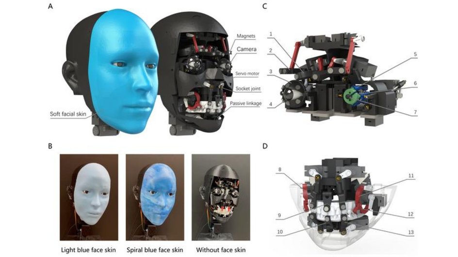 Источник: Science Robotics