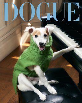 Dogue