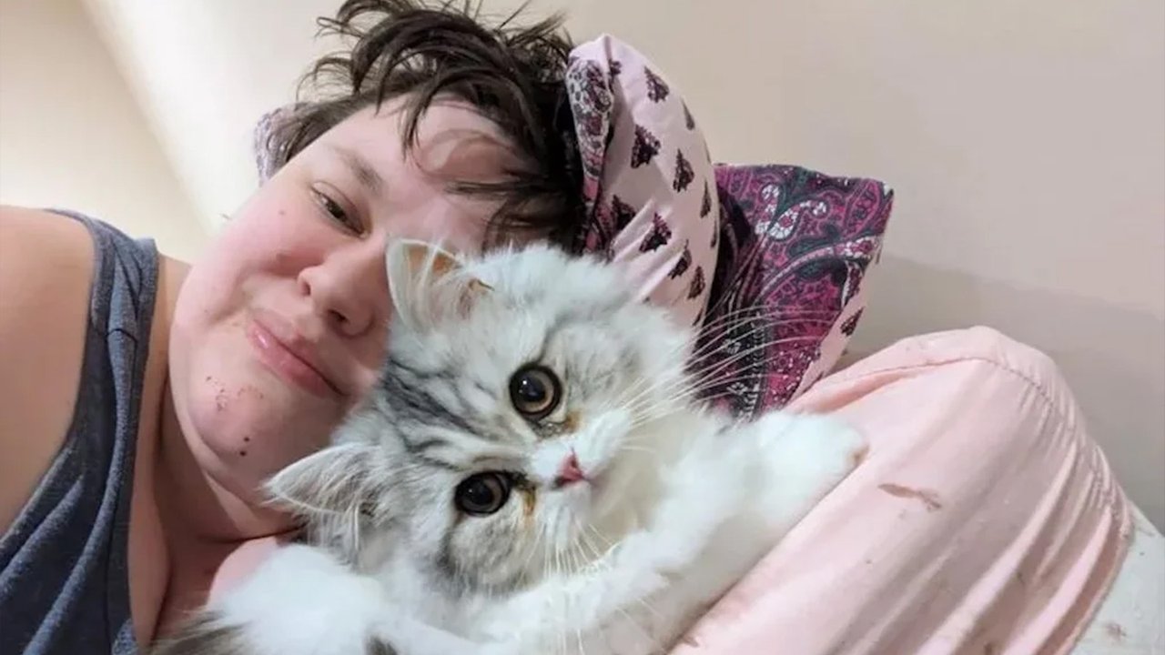 Котик Котик
