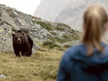 Кадр из Клара и тайна медведей