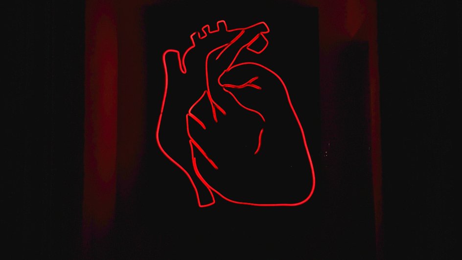 сердце сердце